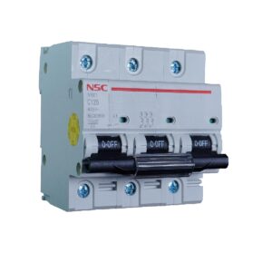 پل 125 300x300 - کلید مینیاتوری سه فاز 100 آمپر مدل C100